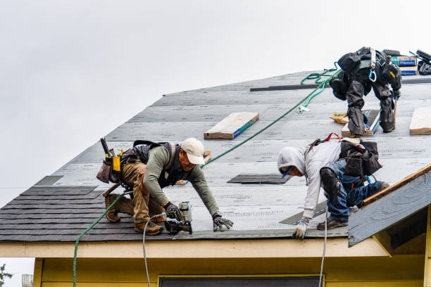 Professional Gutter Installation technician working in Warda, TX